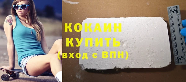 прущие грибы Заводоуковск