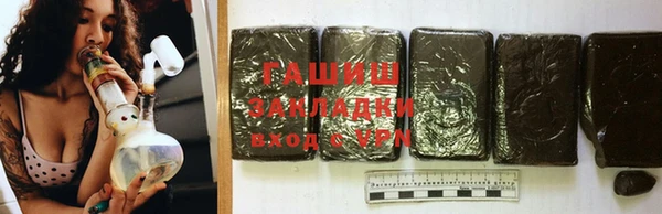 прущие грибы Заводоуковск