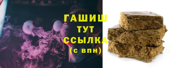 прущие грибы Заводоуковск