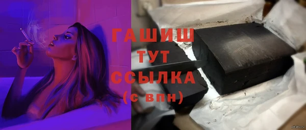 прущие грибы Заводоуковск