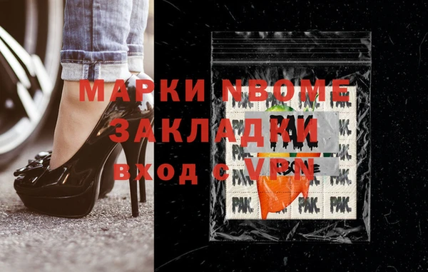 прущие грибы Заводоуковск