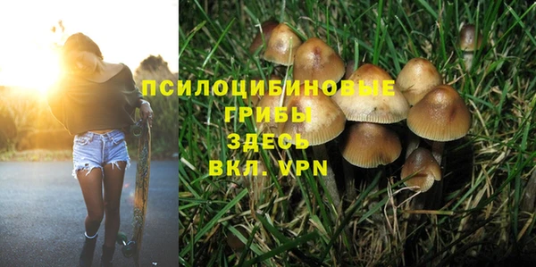 прущие грибы Заводоуковск
