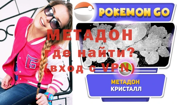 прущие грибы Заводоуковск