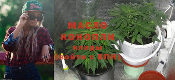 прущие грибы Заводоуковск