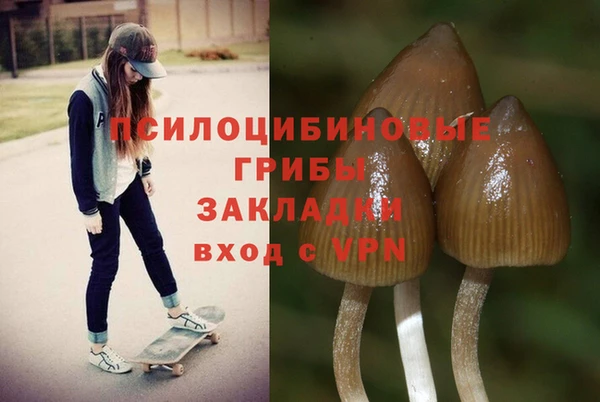2c-b Заволжск