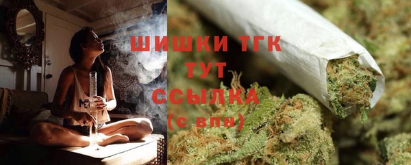 ALPHA PVP Ельня