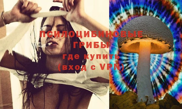а пвп мука Елабуга
