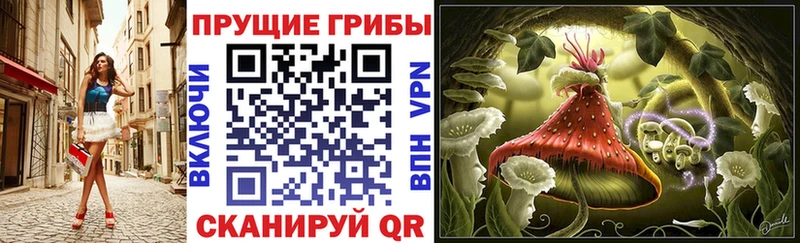 Псилоцибиновые грибы мицелий  Вяземский 